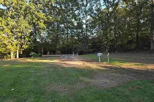 Tbd Cr 2864/Off Rd, Hughes Springs, TX 75656 - Photo 14