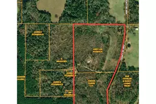 Tbd Cr 2864/Off Rd, Hughes Springs, TX 75656 - Photo 22