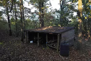 Tbd Cr 2864/Off Rd, Hughes Springs, TX 75656 - Photo 18