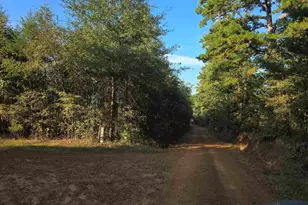 Tbd Cr 2864/Off Rd, Hughes Springs, TX 75656 - Photo 8