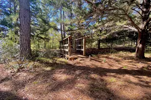 260 Acr 1261, Elkhart, TX 75839 - Photo 28