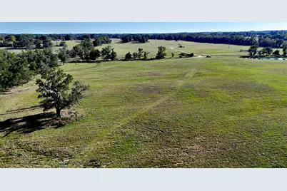 10769 Cr 3519, Murchison, TX 75778 - Photo 38