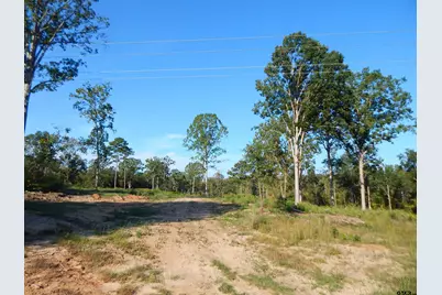 Tbd 7.57 Acres Hwy 259, Ore City, TX 75683 - Photo 6