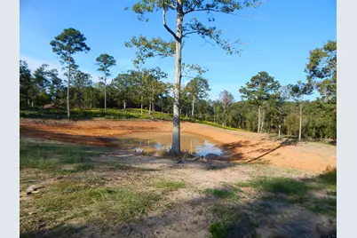 Tbd 7.57 Acres Hwy 259, Ore City, TX 75683 - Photo 8