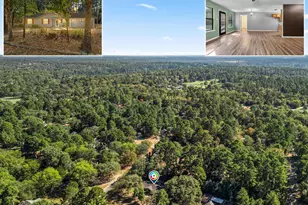 473 Meadow View, Holly Lake Ranch, TX 75765 - Photo 2