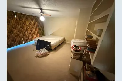 10166 Fm 2813, Flint, TX 75762 - Photo 20