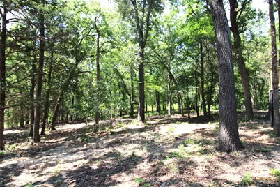 372 Whipporwill Dr, Murchison, TX 75778 - Photo 10