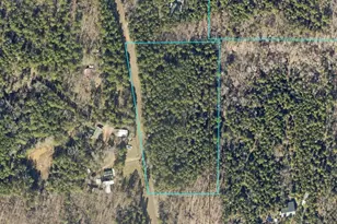 Tbd (8 7665 Ac) Cr 3859, Hawkins, TX 75765 - Photo 1