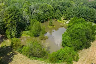 17315 FM 2089, Overton, TX 75684 - Photo 8