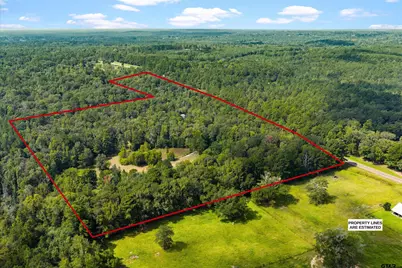 17315 Fm 2089, Overton, TX 75684 - Photo 4