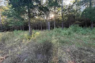 255 Co Rd 4247, Pittsburg, TX 75686 - Photo 22