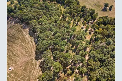 Tbd Fm 593, Gilmer, TX 75644 - Photo 8
