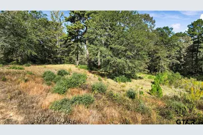 Tbd Pr 3398 Lot 32, Big Sandy, TX 75755 - Photo 4