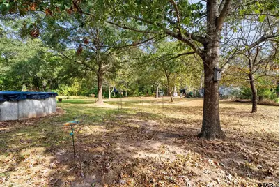 10973 Fm 3226, Arp, TX 75750 - Photo 26