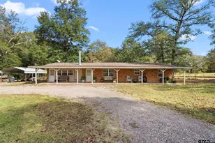 10973 FM 3226, Arp, TX 75750 - Photo 2