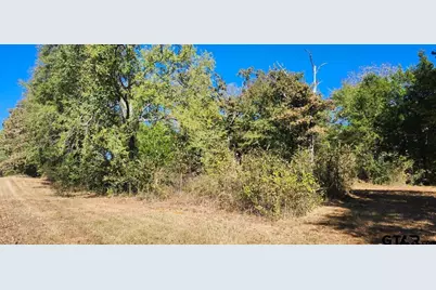 18375 Fm 2661, Flint, TX 75762 - Photo 4