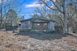 12364 E Sh 43, Tatum, TX 75691 - Photo 4