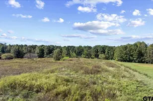 2600 Co Rd 417D, Henderson, TX 75654 - Photo 30