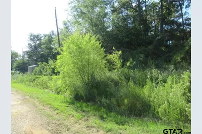 22448 Shady Trail, Flint, TX 75762 - Photo 4