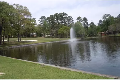 117 Cottonwood Cove, Holly Lake Ranch, TX 75765 - Photo 32