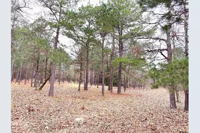 3729 Pine Wood Way  Lots 80 & L18, LaRue, TX 75770 - Photo 12