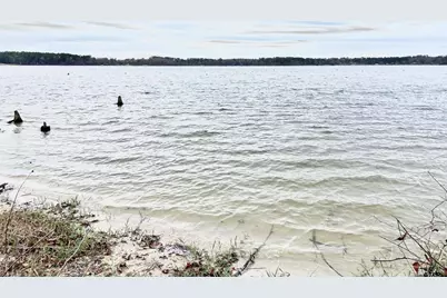 3729 Pine Wood Way  Lots 80 & L18, LaRue, TX 75770 - Photo 26