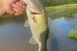 126 Co Rd 4212, Jacksonville, TX 75766 - Photo 44