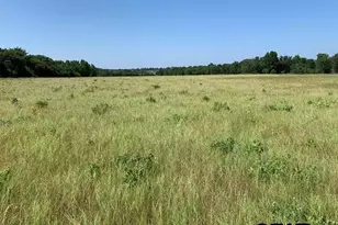 000 Cr 152, Bullard, TX 75757 - Photo 4