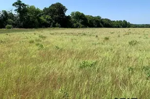 000 Cr 152, Bullard, TX 75757 - Photo 6