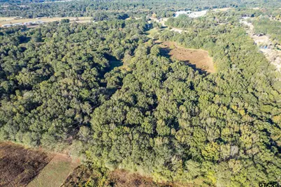 21289 Cr 2138, Troup, TX 75789 - Photo 16