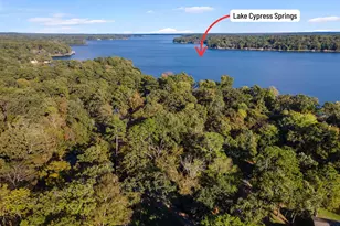 109 King Lyle Rd, Scroggins, TX 75480 - Photo 38