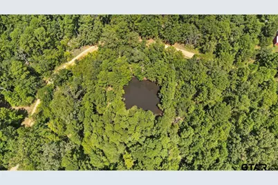 21430 County Road 2182, Whitehouse, TX 75791 - Photo 2