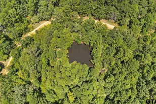 21430 County Rd 2182, Whitehouse, TX 75791 - Photo 2