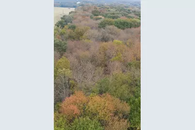 Tbd 20.83 +- Vzcr 1118, Grand Saline, TX 75140 - Photo 8