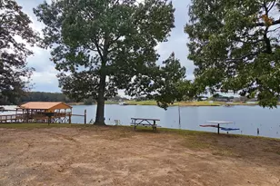 434 Geronimo, Quitman, TX 75783 - Photo 44