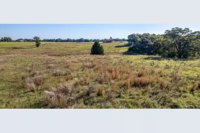 000 Cr 4331, LaRue, TX 75770 - Photo 4