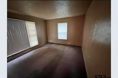 242 E Main St, Van, TX 75790 - Photo 10