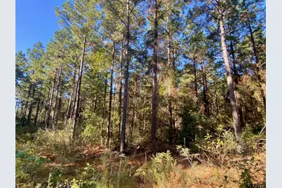 Tbd Cr 2265, Grapeland, TX 75844 - Photo 20