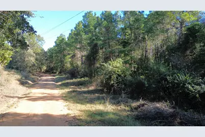 Tbd Cr 2265, Grapeland, TX 75844 - Photo 16