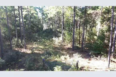 Tbd Cr 2265, Grapeland, TX 75844 - Photo 14