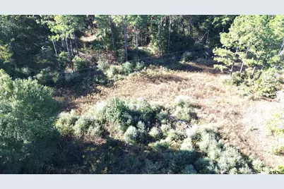 Tbd Cr 2265, Grapeland, TX 75844 - Photo 10