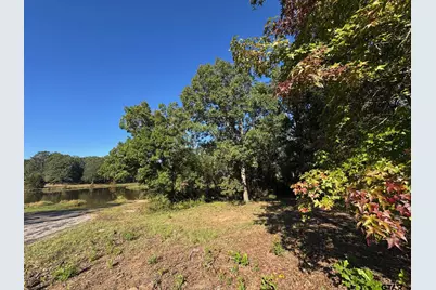 Lot 18 County Road 1216, Pittsburg, TX 75686 - Photo 8