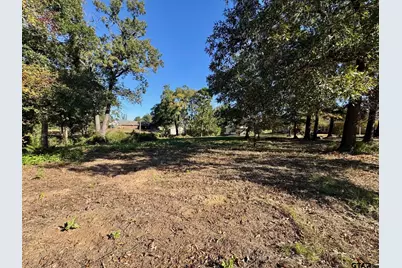 Lot 18 County Road 1216, Pittsburg, TX 75686 - Photo 2