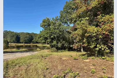 Lot 18 County Road 1216, Pittsburg, TX 75686 - Photo 1