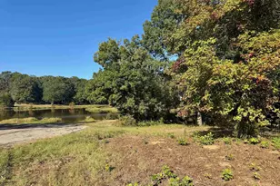 Lot 18 County Road 1216, Pittsburg, TX 75686 - Photo 1