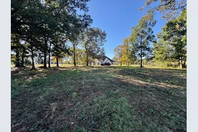 Lot 18 County Road 1216, Pittsburg, TX 75686 - Photo 6