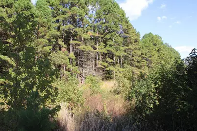 Tbd Cr 1508 - 37.4 Acres, Jacksonville, TX 75766 - Photo 8