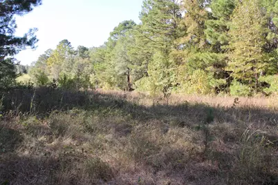 Tbd Cr 1508 - 37.4 Acres, Jacksonville, TX 75766 - Photo 2