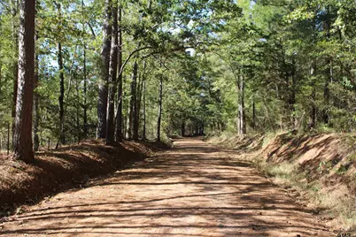 Tbd Cr 1508 - 37.4 Acres, Jacksonville, TX 75766 - Photo 14