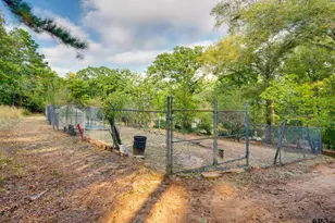 2223 N Link St, Palestine, TX 75803 - Photo 42